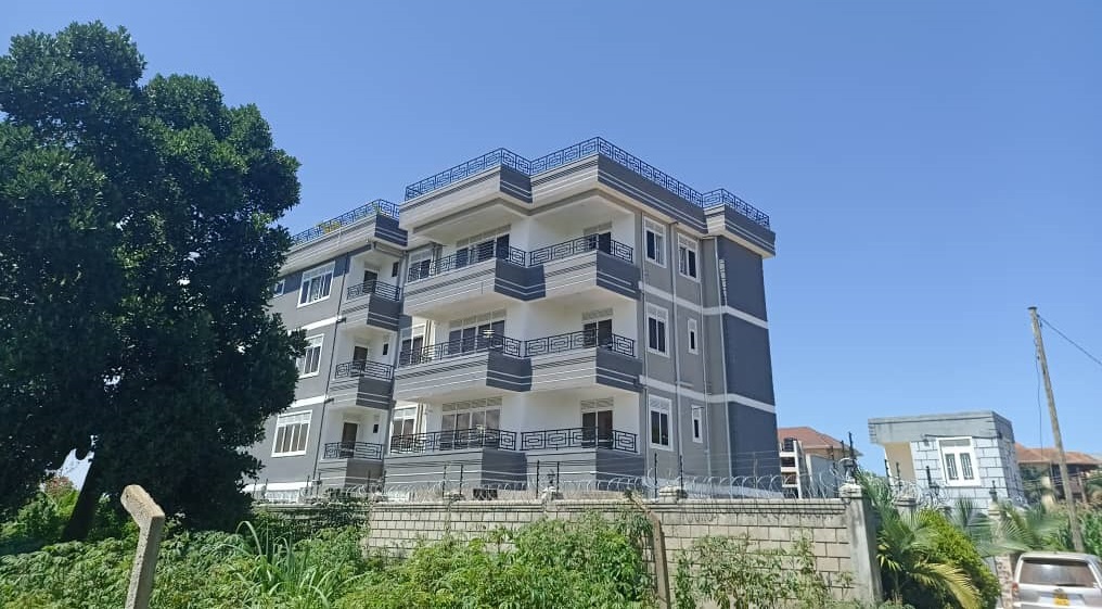 Nimaro Courts