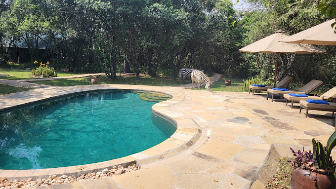 Karen Blixen Camp, Mara North Conservancy, Masai Mara