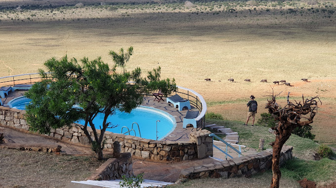 Tsavo Lodge voi