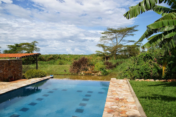 Yellow Haven Lodge
