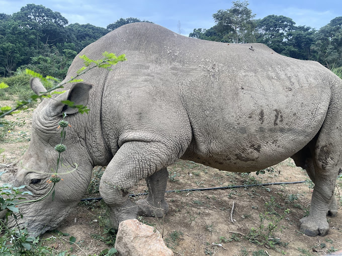 Uganda Wildlife Conservation Education Centre