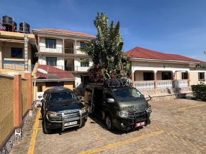 Rhino Motel