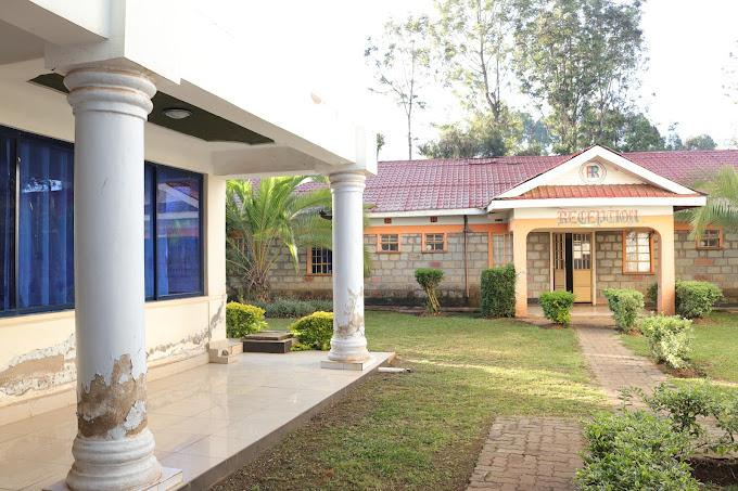 Royalton Hotel