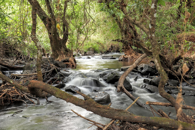 Naiberi River Campsite and Resort