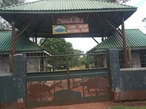 Saiwa Swamp National park