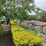Sego Safari Lodge