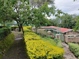 Sego Safari Lodge