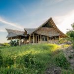 Soroi Cheetah Tented Camp
