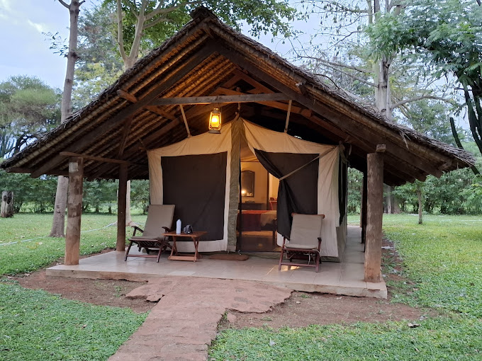 Voyager Ziwani