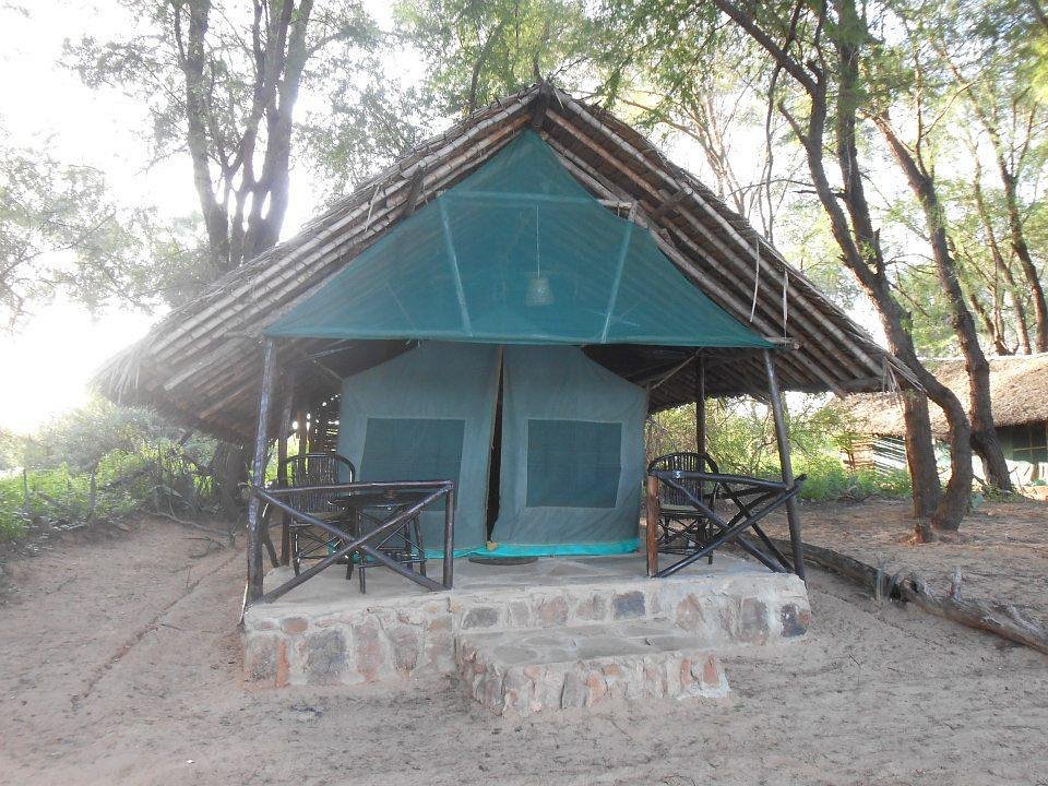 Patterson’s Camp