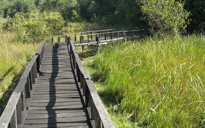 Saiwa Swamp National park