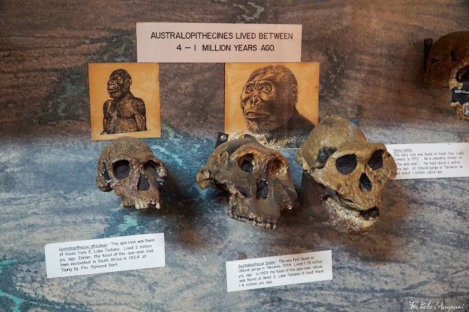 Kitale Museum