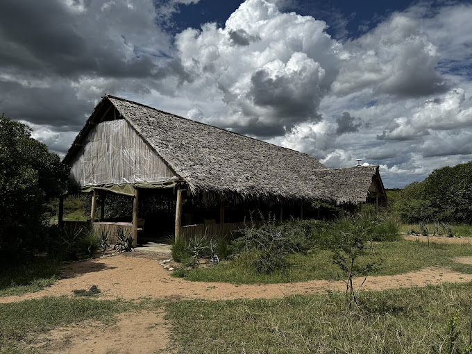 Amazing Mara Camp