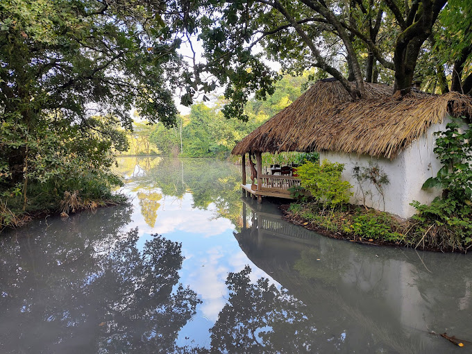Muringa. FARM