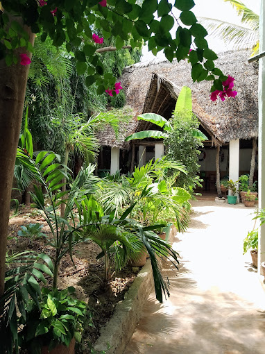 Forest House
