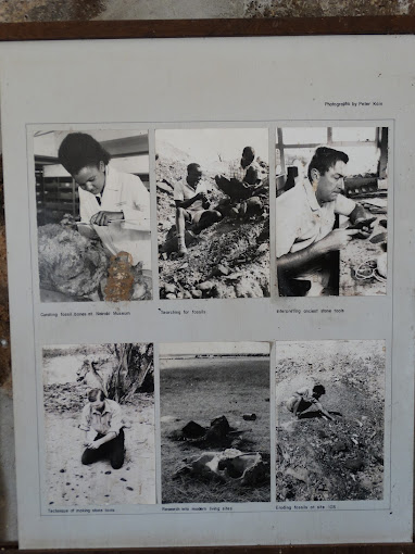 Koobi Fora Museum