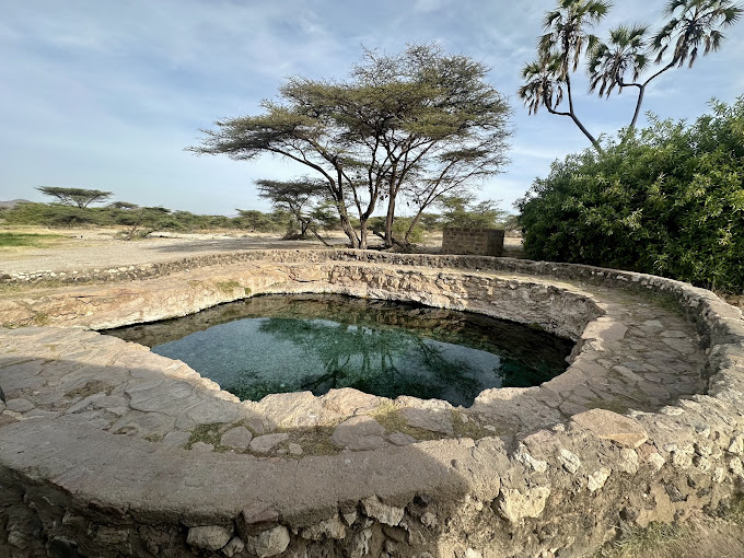 Buffalo Springs National Reserve