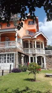 Guesthouse&Treehouse