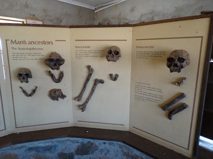 Koobi Fora Museum