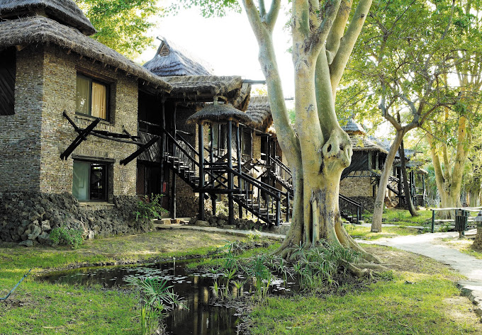 Sarova Shaba Game Lodge