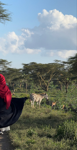 Sanctuary Farm – A Nature Retreat in Naivasha