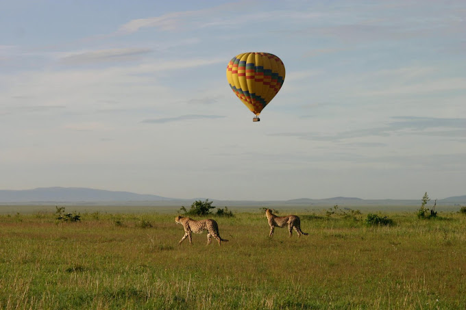 Shaba National Reserve