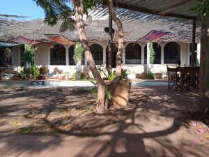 Distant Relatives Ecolodge & Backpackers