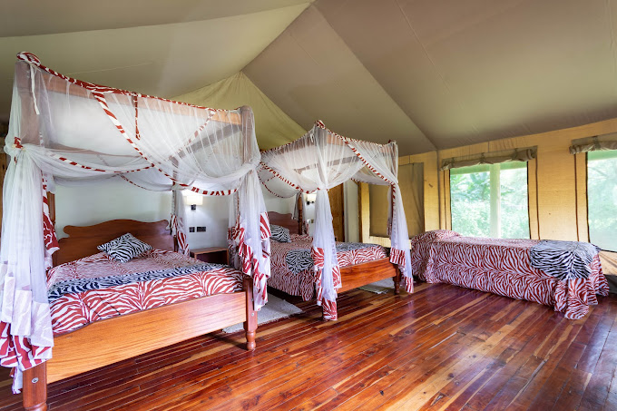 Lake Naivasha Crescent Camp