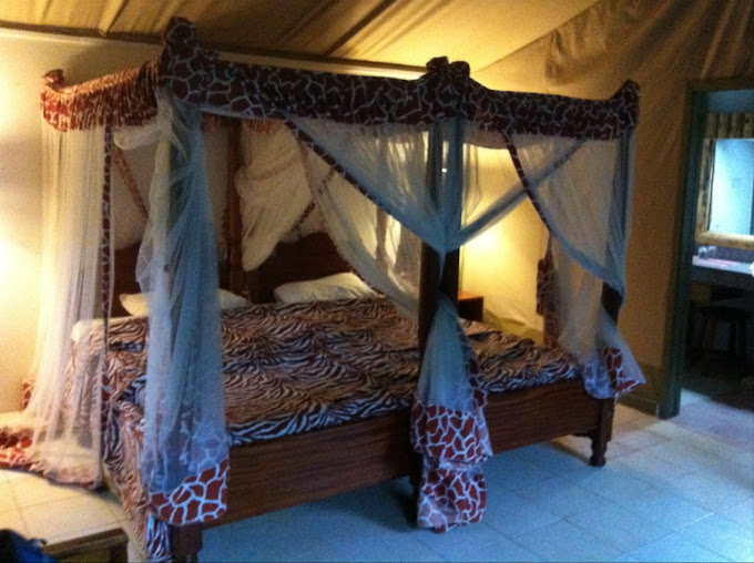 Marina Camp Site