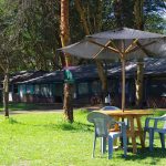Buffalo View Resort