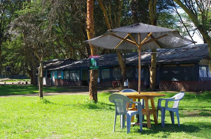 Buffalo View Resort