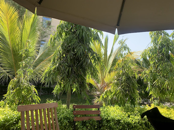 Grand Oasis Hotel