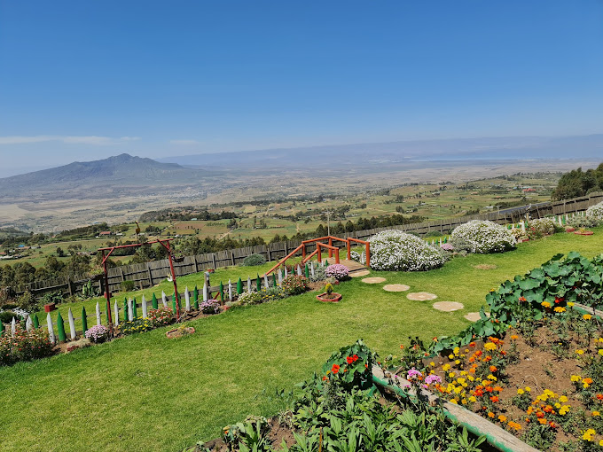 Logonot view cottage