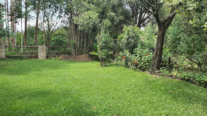Stone Camp Naivasha