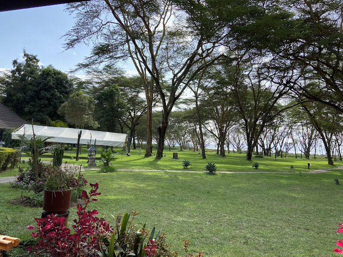 Lake Naivasha Simba Lodge