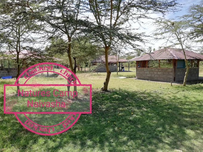 Natures Camp Naivasha