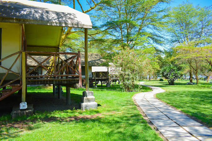 Lake Naivasha Crescent Camp