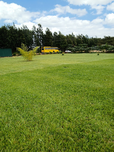 Midas Gardens