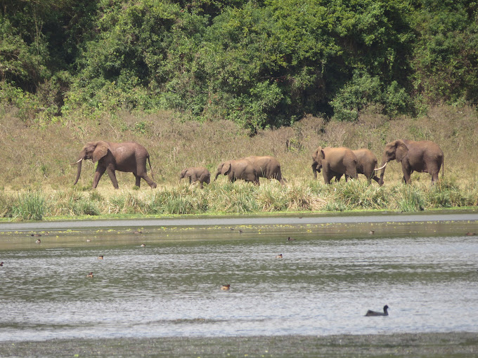 Marsabit National Park