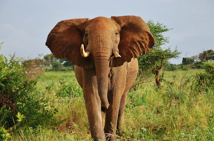 Malka Mari National Park