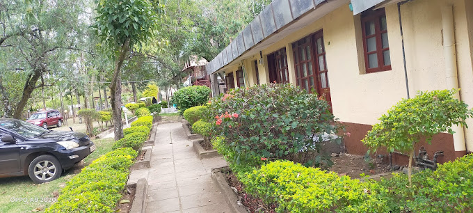 Yellow Green Hotel Ltd
