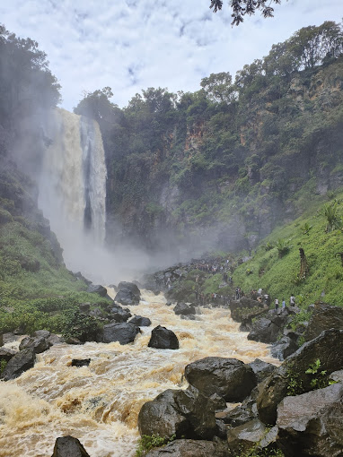Muringa. FARM