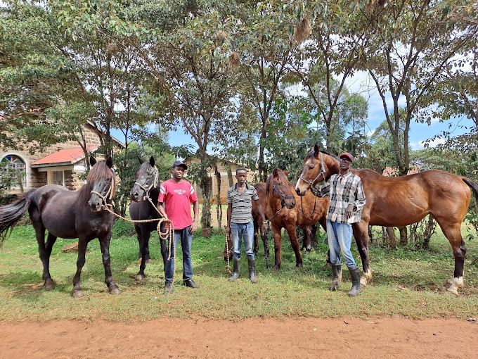 Muringa. FARM