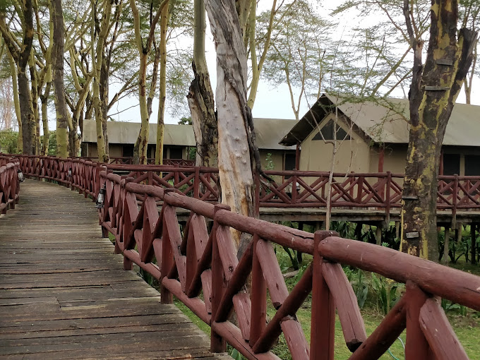 Kiboko Tented Camp