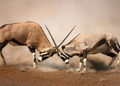 Malka Mari National Park