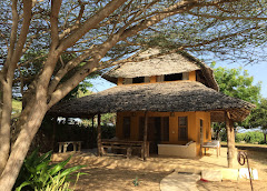 Mangrove House