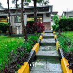 Midas Gardens