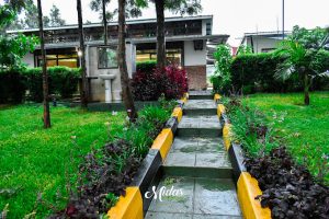 Midas Gardens