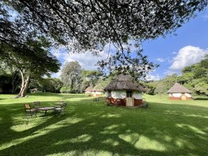 Muringa. FARM
