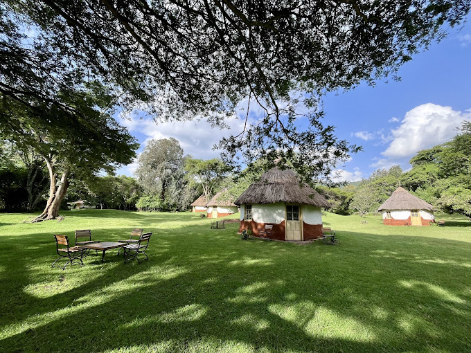 Muringa. FARM